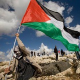 Palestine News