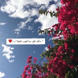مقالات دينية 📖