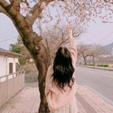 اقتسبات &رمزيات &نكت &خلفيات