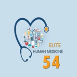 Elite 54 H. medicine (Aleppo)