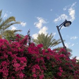 ✨ فيدوهات + شعر + عبارات ✨