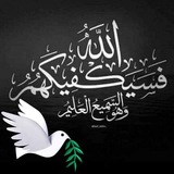 الاستشفاء بالطب النبوى