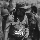 مدافعان ولایت