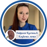 Клубочки_почки|нефролог Кухтина А.А. 💙