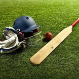 Cricket 07