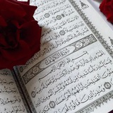 قرءان كريم ❤️