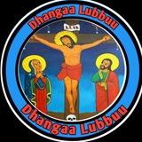 🛑 Dhangaa Lubbuu
