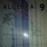 9-sinf algebra javoblari
