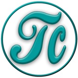 tahacontrolteg.ir