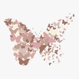 Butterfly 🦋