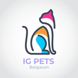 Ig pets