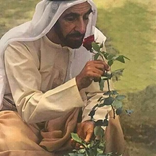 الصف الثاني عشر 12 (عام ومتقدم)