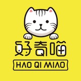 好奇喵(沙雕猎奇)