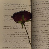 مصدر إلهامي
