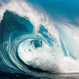 Forex Signals Ocean ๐ฆ