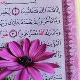 صحبة القرآن || 💚