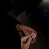 ظـلّ الـكـلام