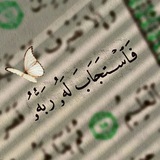 قران كريم ـ اجر