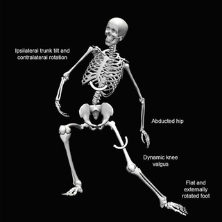 Science of Biomechanics, Sports Injuries, Pain and Musculoskeletal disorders