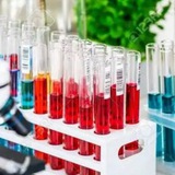 Biologie Snv