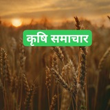 🌿 SKRAU BIKANER 🌿