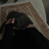 Заброшенныи музеи 🩶 .