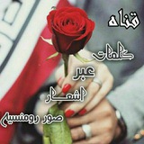 نبض اليمن 🇾🇪