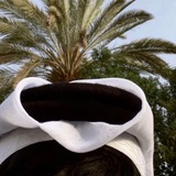 ـبُ