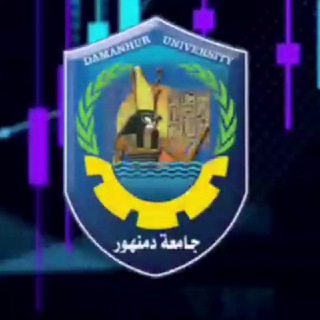 "قناة كلية تجارة جامعة دمنهور تعليم مدمج "