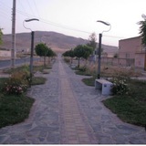🍀🌷🌷ولاشجردی ها🌷🌷🍀