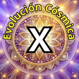 Evolución Cósmica X