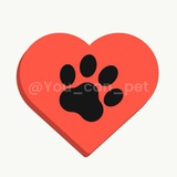 You can pet πΆ