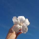 بلاغة القلب ❤️