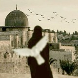 اشْدُدْ بِهِ أَزْرِي•