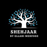 Shehjaar By Ellahi Mehfooz