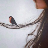 حوالی من 🌱