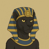 0xMohamΞd 𓅓