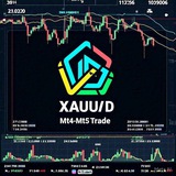 FOREX GOLD STAR