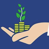 المحفظة الاستثمارية 💰