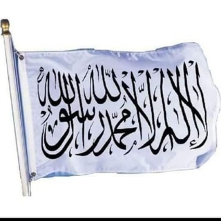 Muhammad Aliyyi๐๐๏ธ