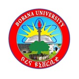 Borana University