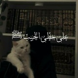 عَلــى خُطـ𓂆ــى الحَبــيب ﷺ 💚 🕊️