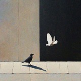 papillon