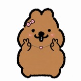쫀득궈코