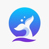 Whale Action | رفتار نهنگ مرجع سیگنال ارزدیجیتال و اخبار