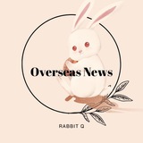 흰토끼 해외뉴스