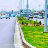 - الضلوعية، ♥️