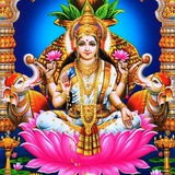 DHAN LAXMI MATKA