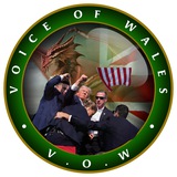 Voice Of Wales Official