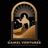 Lạc đà ventures x light team
